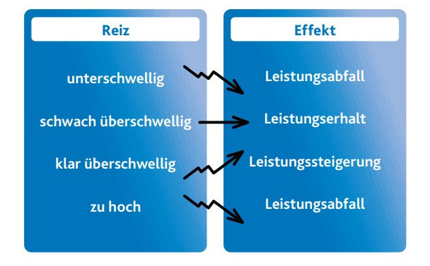 Grafik zum Prinzip des trainingswirksamen Reizes, links steht der Reiz und rechts der Effekt 