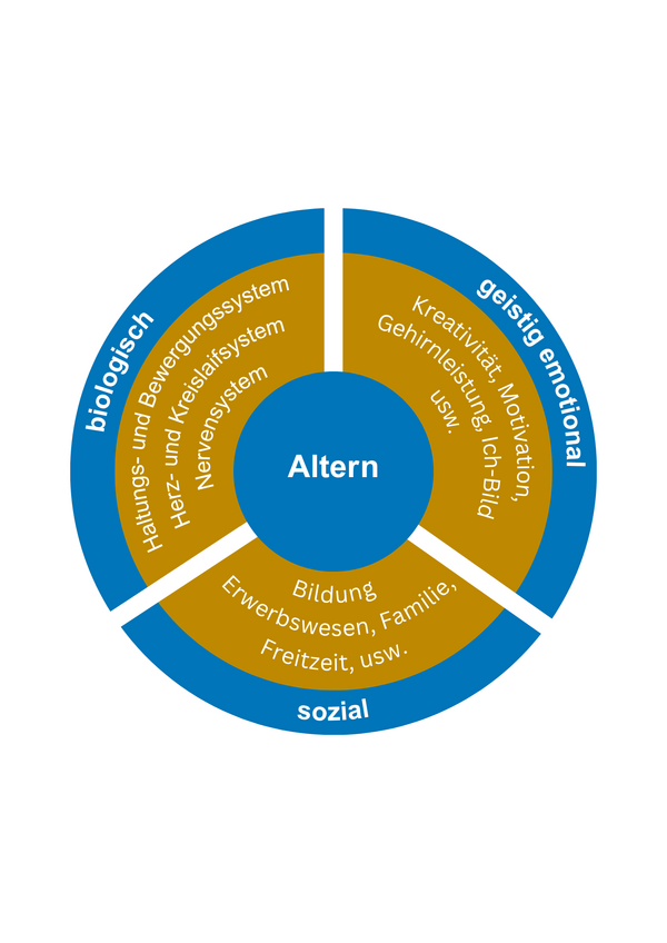 Kreisdiagramm zeigt drei Dimensionen des Alterns: biologisch mit Haltung, Herz-Kreislauf- und Nervensystem; geistig-emotional mit Kreativität, Motivation, Gehirnleistung; sozial mit Bildung, Erwerbswesen, Familie, Freizeit.